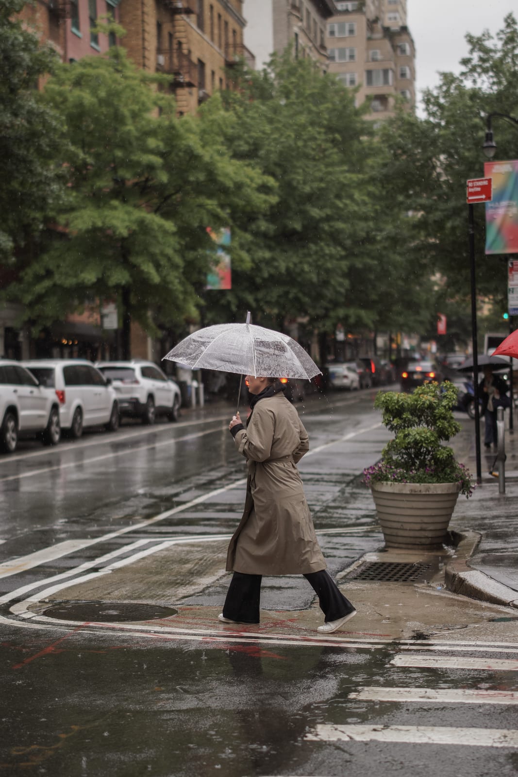 Portfolio preview — 2-New York '25